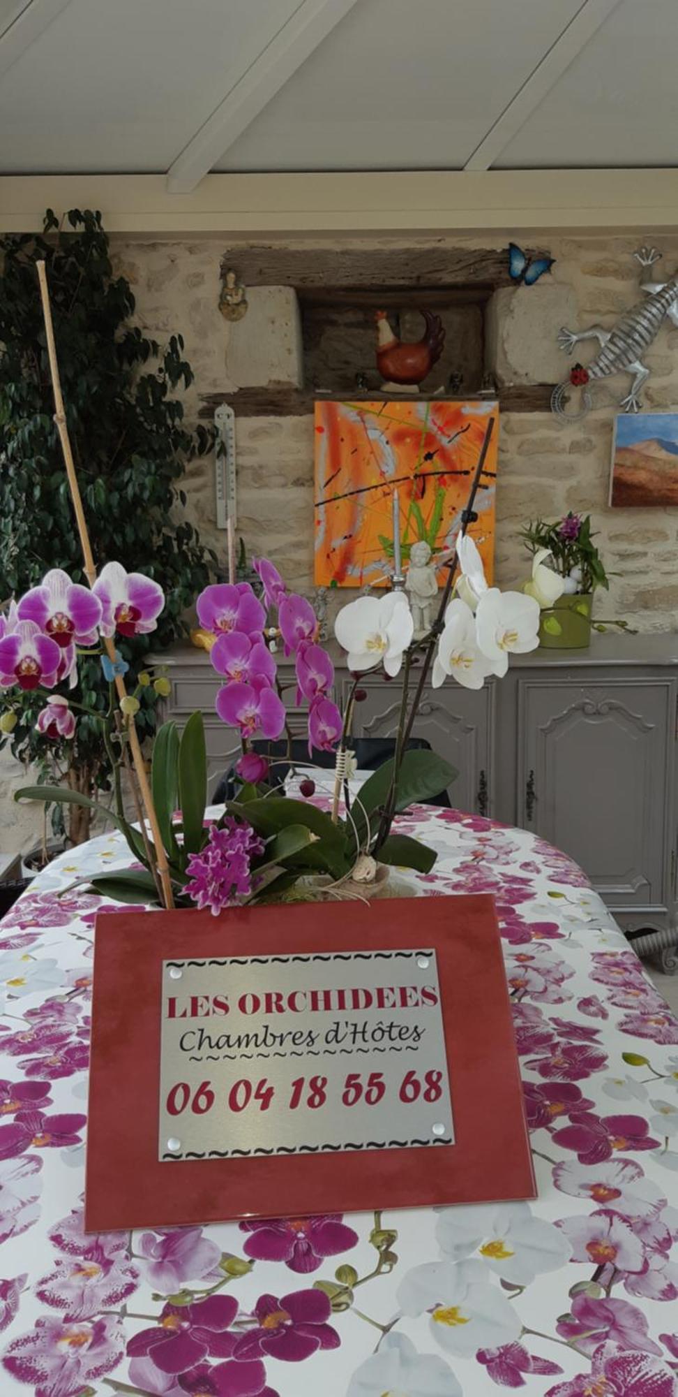 Les Orchidees Chambre Hotes Futuroscope Chasseneuil Poitiers Jaunay-Clan Ngoại thất bức ảnh